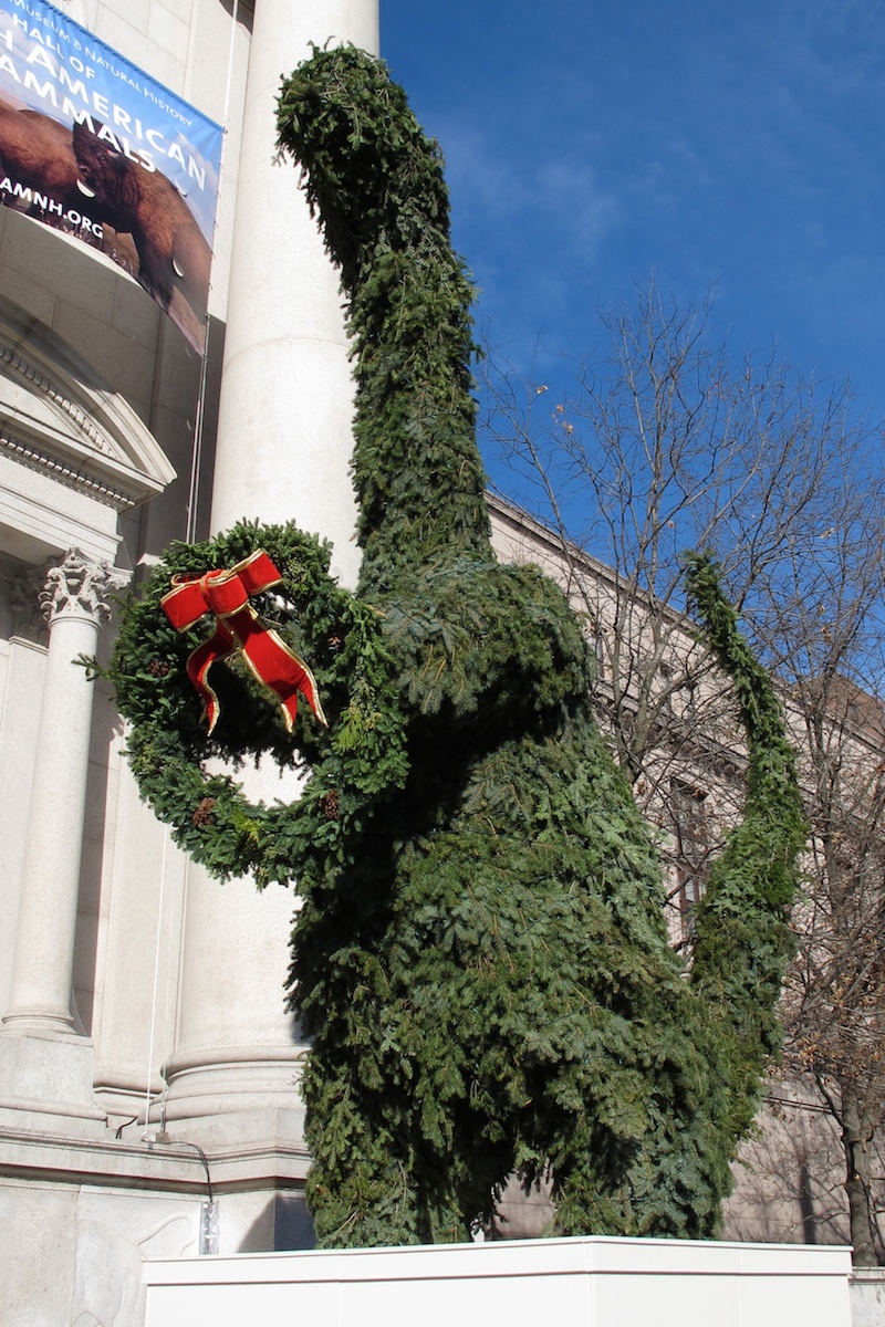 American Museum of Natural History 2012